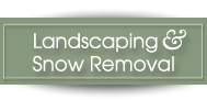 landscaping & snow removal